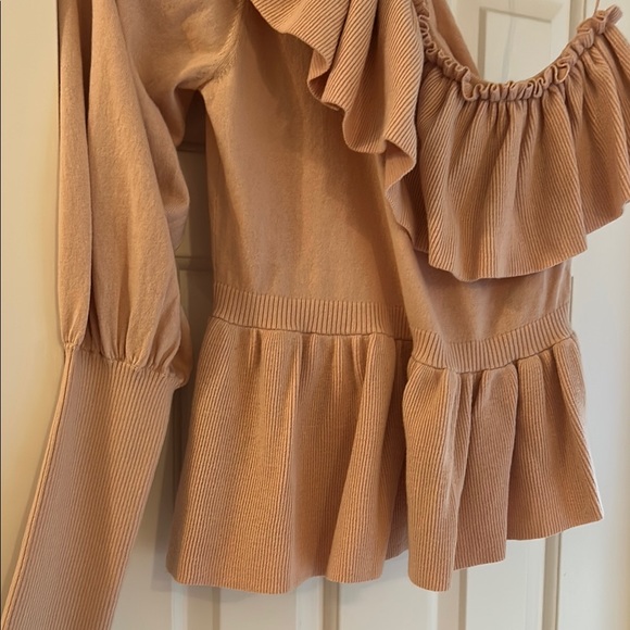 Ulla Johnson One-Shoulder Ruffle Top - Picture 6 of 6